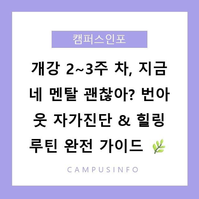개강 스트레스가 번아웃 되기 전에 — 2026 대학생 멘탈 관리 완전 가이드 & 가성비 힐링 취미