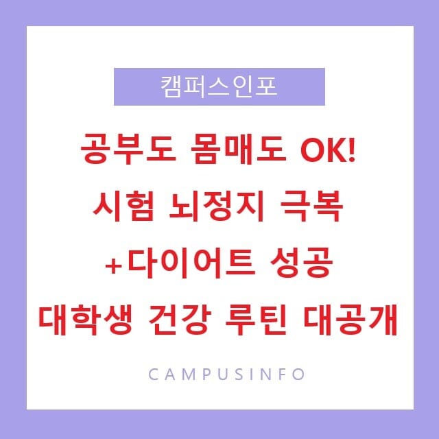 공부도 몸매도 OK! 시험 뇌정지 극복+다이어트 성공 대학생 건강 루틴 대공개