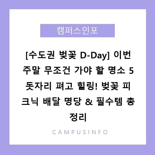 이번 주말이 진짜 기회! 2026 서울·수도권 벚꽃 숨은 명소 5선 & 피크닉 배달 명당 완전 정복